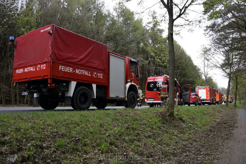 Waldbrand Wahner Heide Troisdorf Eisenweg P286.JPG - Miklos Laubert